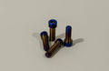Ultra Bee Titanium Hand Brake Bolts